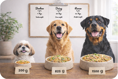 Your dog