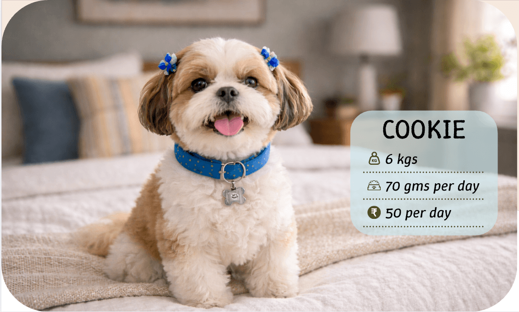 Your dog