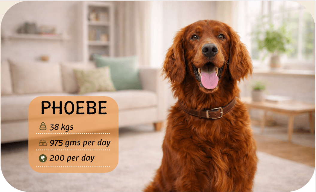 Your dog