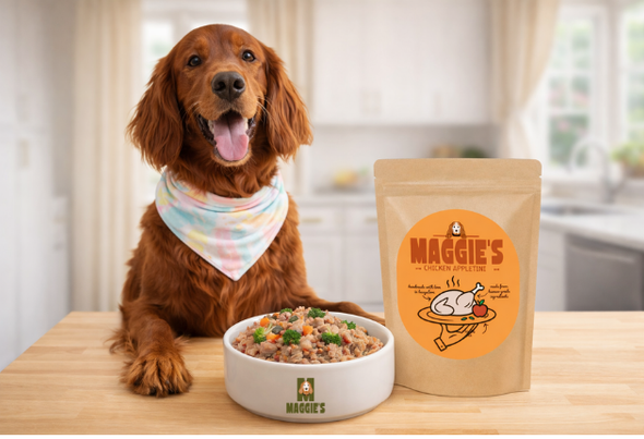 Fresh dog food | Maggie's Pet Meals