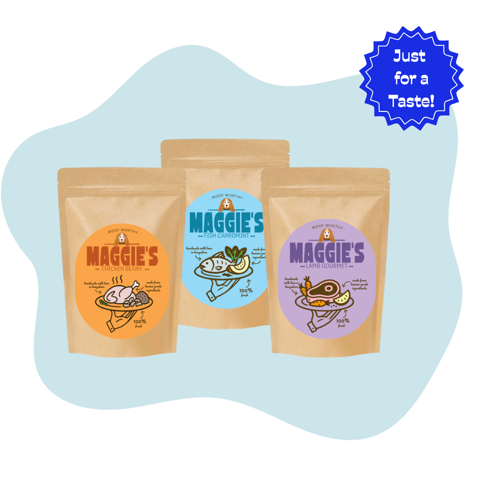 3-DAY PACK | Dog Meal Plans | Maggie's Pet Meals 