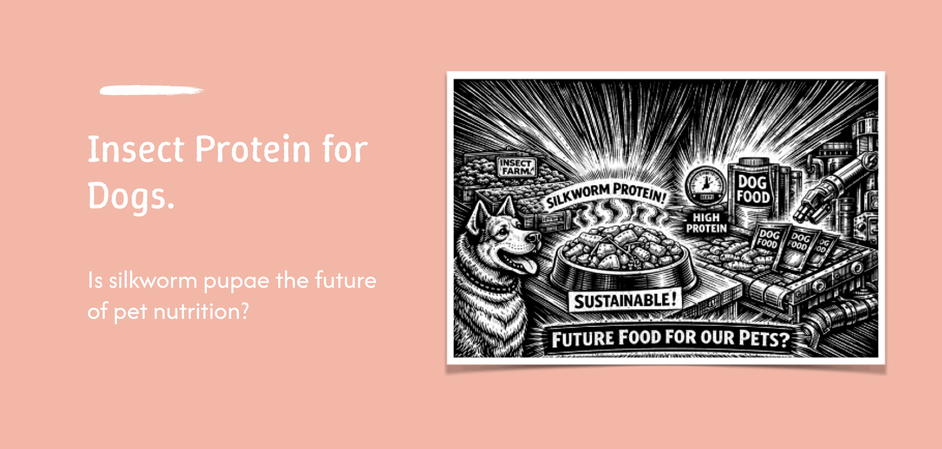 Insect Protein for Dogs | Pet Nutrition | Maggie's Blogs