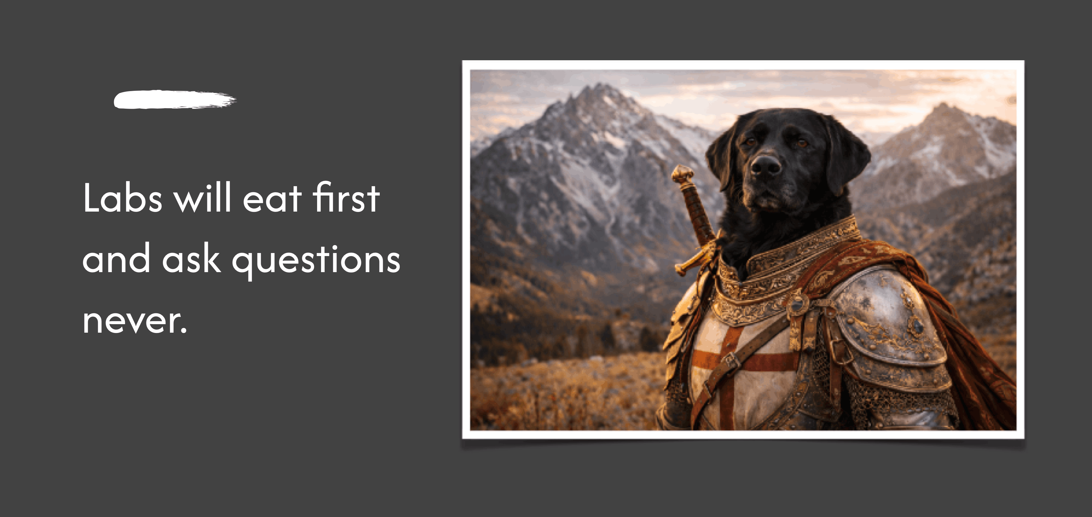 Labrador Retriever Dog Breed: Personality, Diet & Health Guide | Breeds Explained | Maggie's Blogs