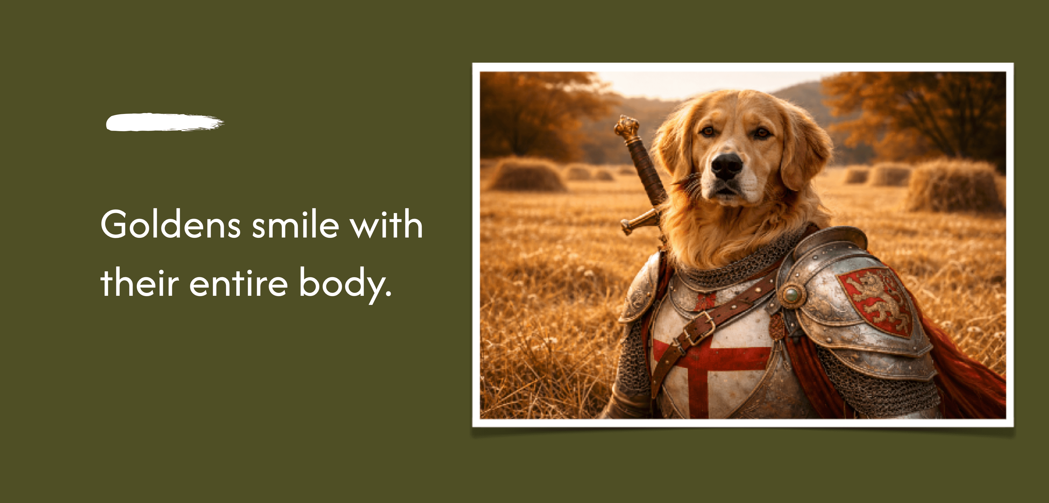 Golden Retriever Dog Breed: Personality, Diet & Care | Breeds Explained | Maggie's Blogs